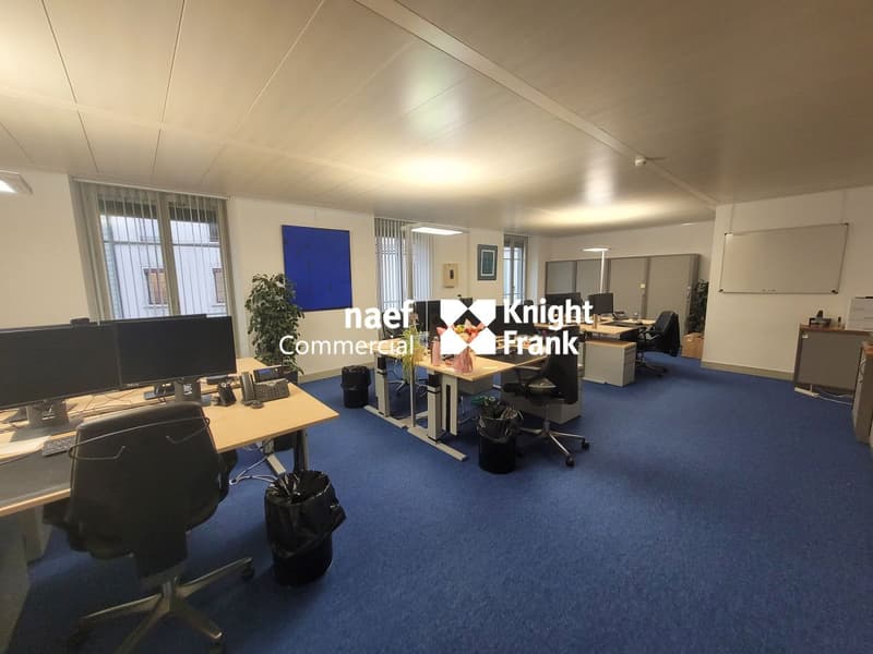 Eaux-Vives - 244 m² office next to the lake (3)