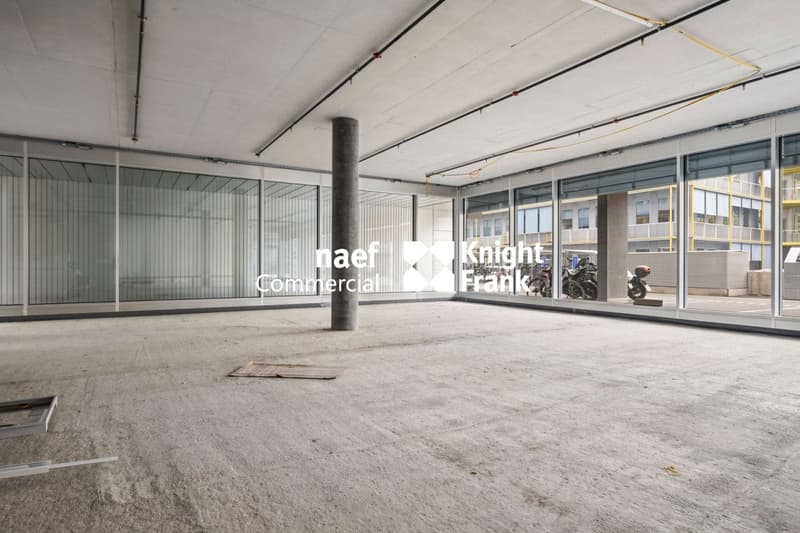 Stellar 32 - Beautiful arcade of approx. 290 m² (3)