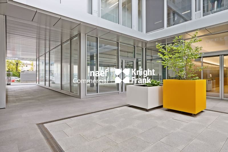 Stellar 32 - Grande arcata di ca. 421 m² disponibile! (2)