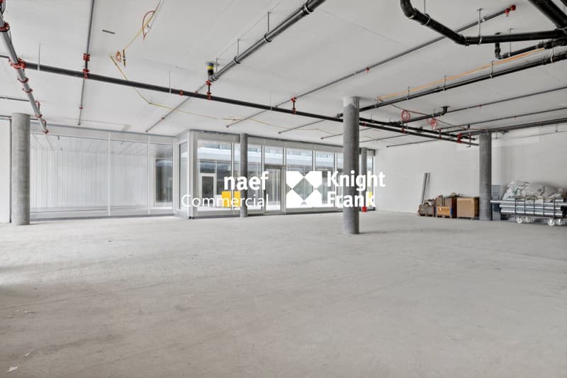 Stellar 32 - Grande arcata di ca. 421 m² disponibile! (3)