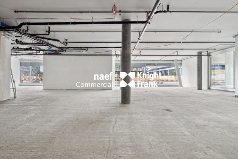 Stellar 32 - Grande arcata di ca. 421 m² disponibile! (5)