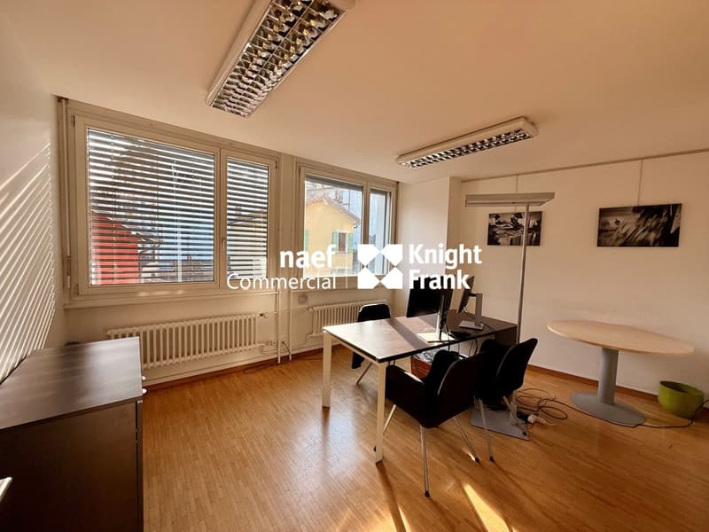 Carouge: Offices of around 483m2 for rent (6)