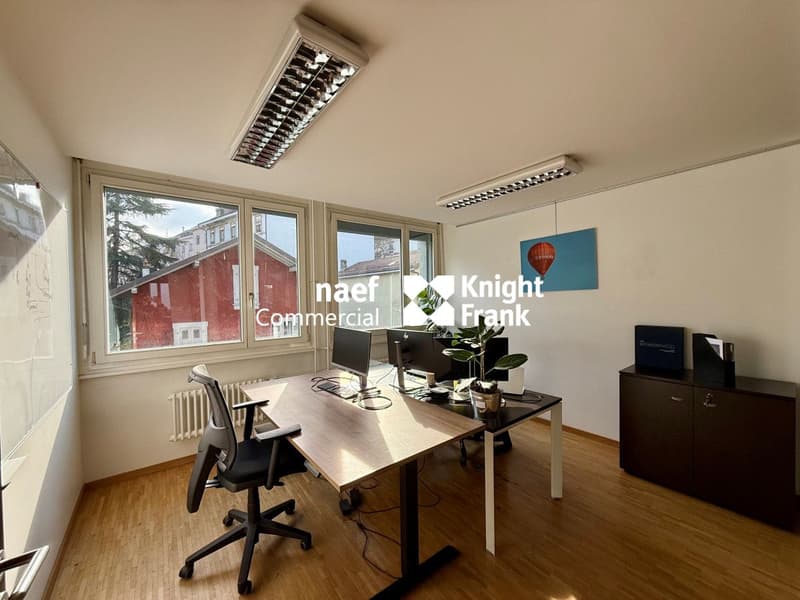 Carouge: Offices of around 483m2 for rent (5)