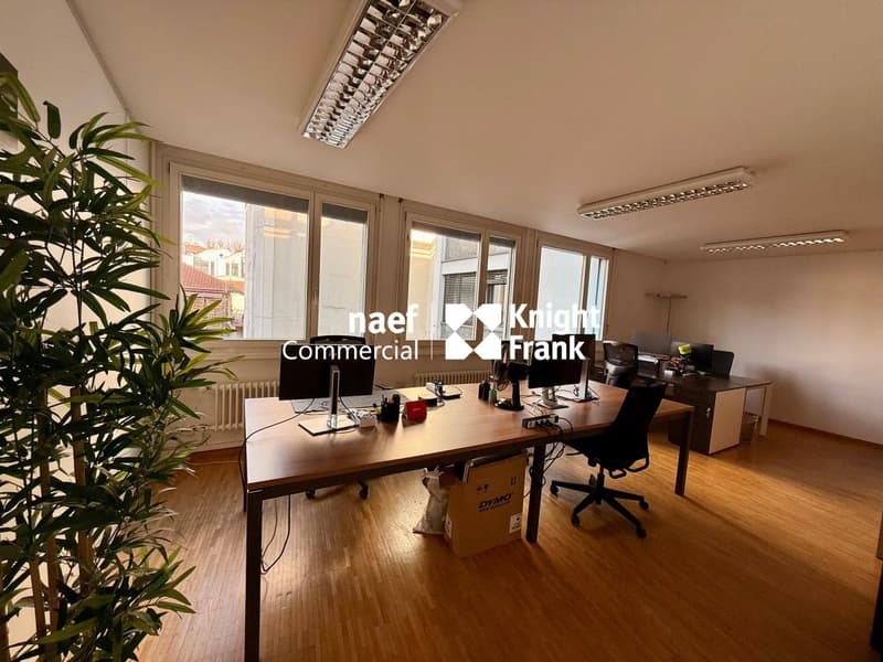 Carouge: Offices of around 483m2 for rent (3)