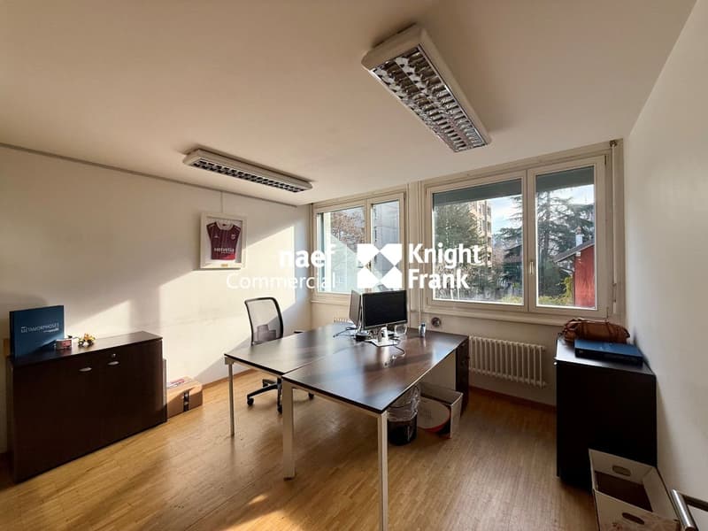 Carouge: Offices of around 483m2 for rent (4)