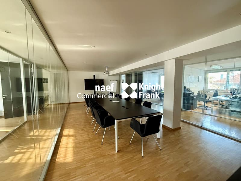 Carouge: Offices of around 483m2 for rent (2)