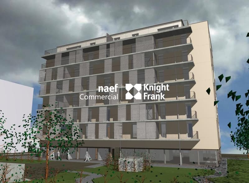 Arcata di 382 m² in affitto - Petit-Saconnex (4)