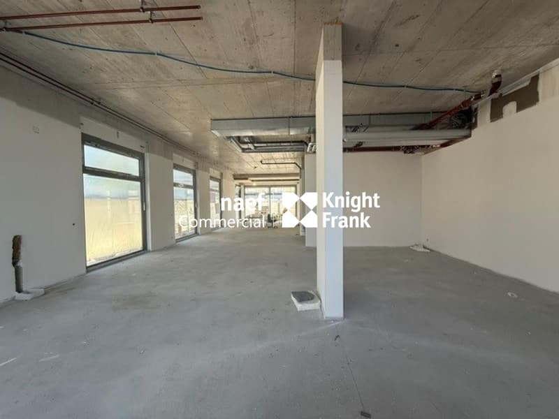 Arcata di 382 m² in affitto - Petit-Saconnex (3)