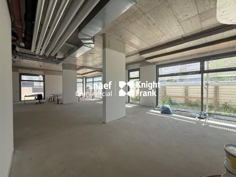 Arcata di 382 m² in affitto - Petit-Saconnex (2)