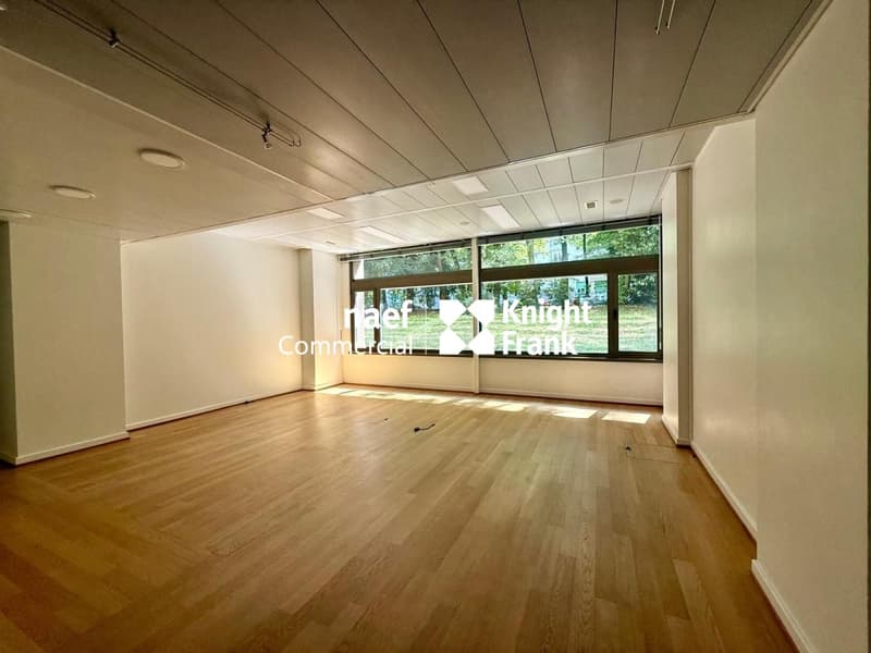 Arcade / Bureaux d'env 206 m² avec 4 parkings - Champel / Genève (4)