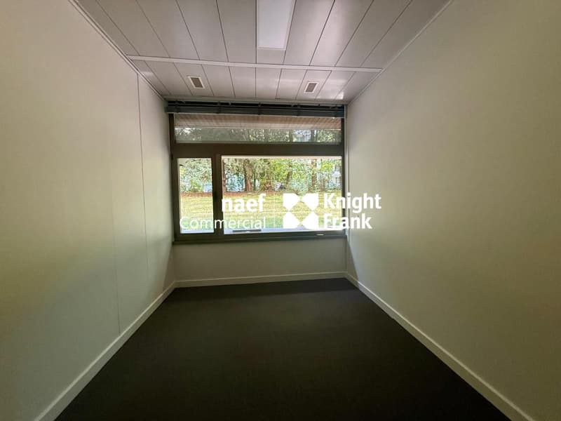 Arcade / Bureaux d'env 206 m² avec 4 parkings - Champel / Genève (7)