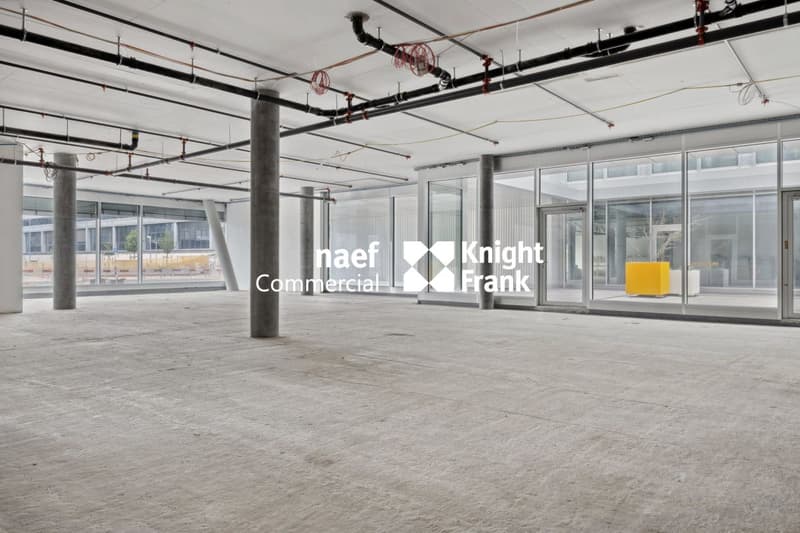 Stellar 32 - Grande arcade d'env. 421 m² disponible ! (4)