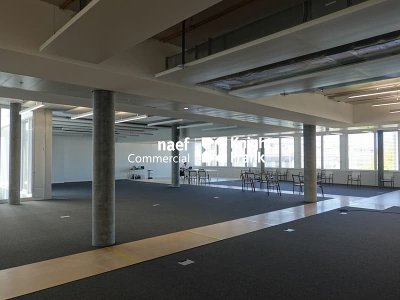 Stellar 32 - BUREAUX MODERNES ET FLEXIBLES - Dès 500 m² (4)