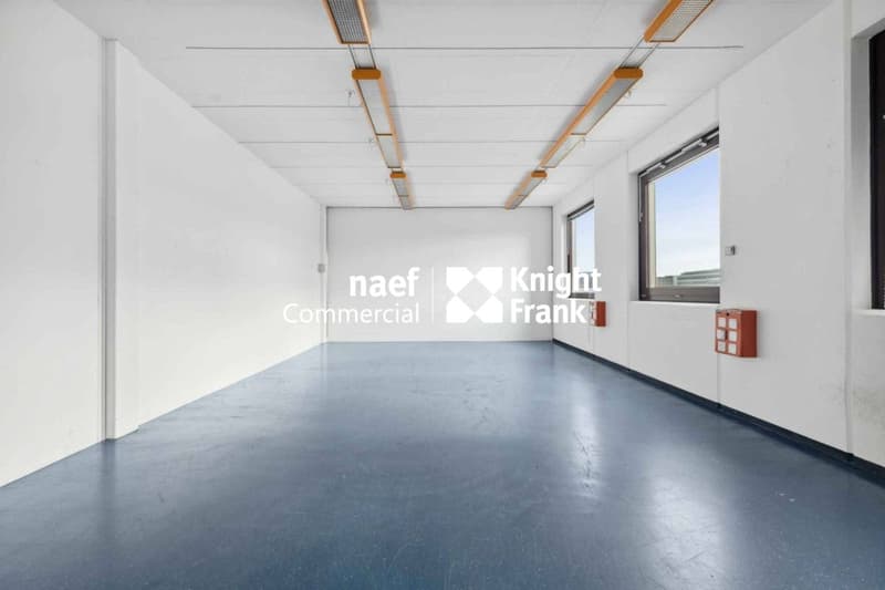 Surface de 430 m² en zone industrielle ZIMEYSA de Meyrin (9)