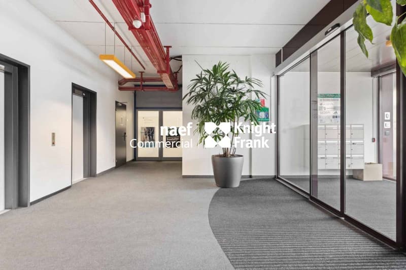 Surface de 430 m² en zone industrielle ZIMEYSA de Meyrin (2)
