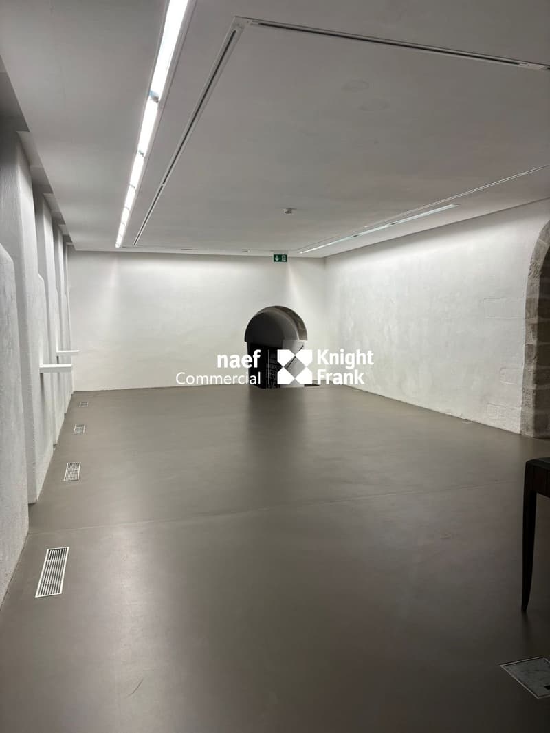 Arcade/ galerie d'exception : Place des Casemates 5 (12)