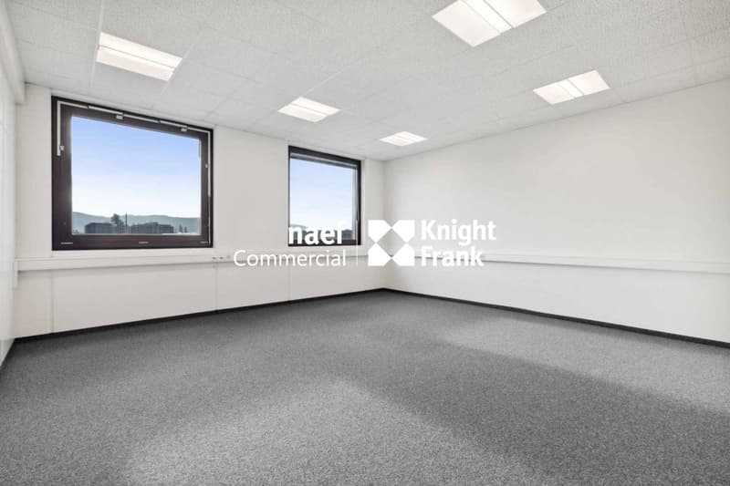 Surface de 377 m² en zone industrielle ZIMEYSA de Meyrin (7)