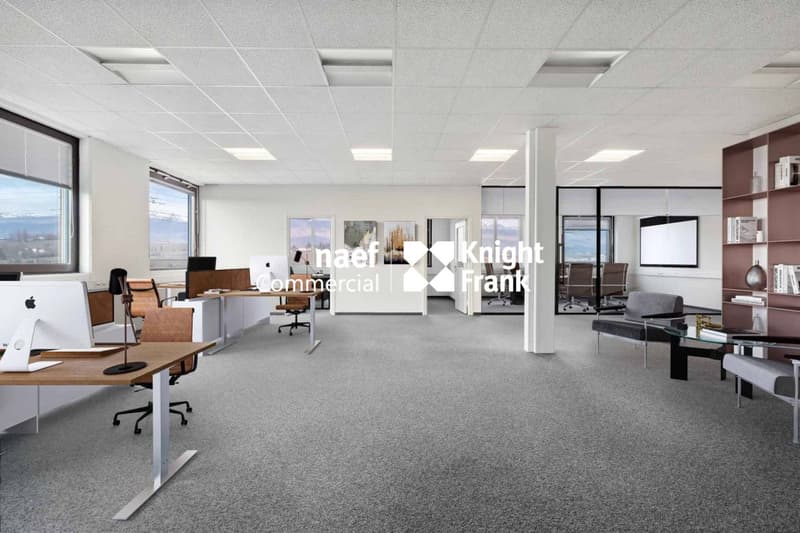Surface de 377 m² en zone industrielle ZIMEYSA de Meyrin (3)