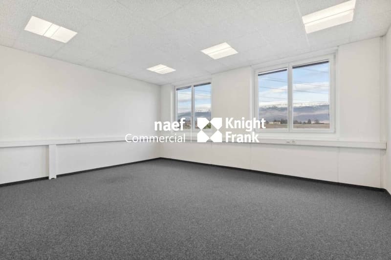 Surface de 377 m² en zone industrielle ZIMEYSA de Meyrin (8)