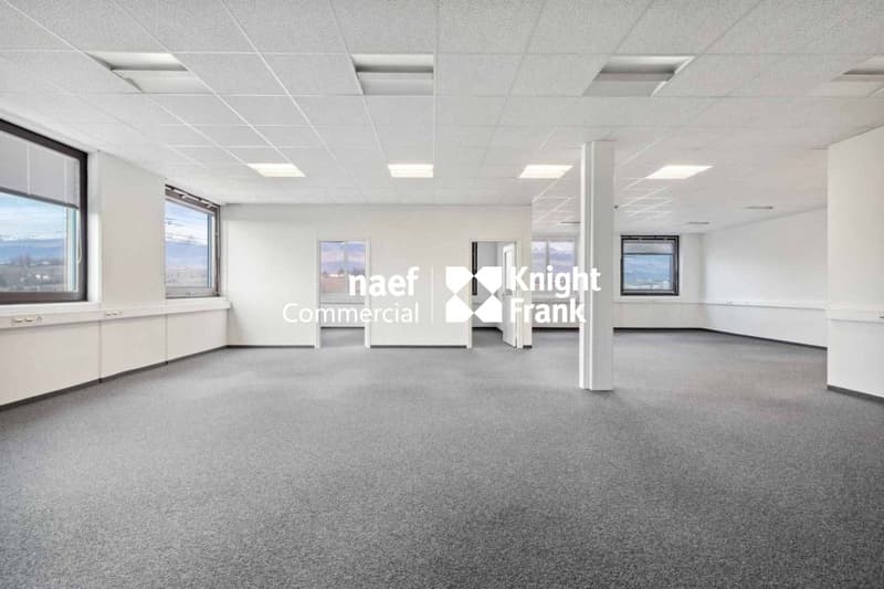 Surface de 377 m² en zone industrielle ZIMEYSA de Meyrin (4)