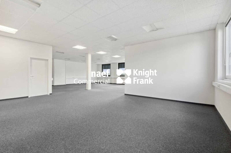 Surface de 377 m² en zone industrielle ZIMEYSA de Meyrin (5)