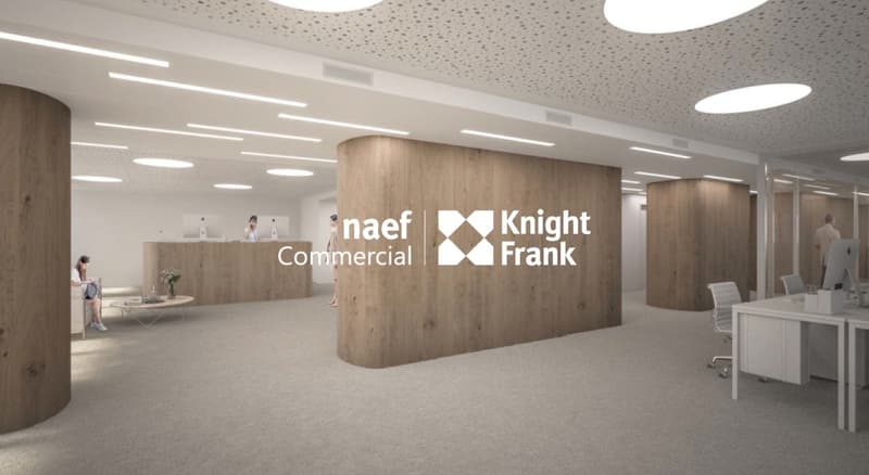 Rue de Lausanne - Bureaux de 640 m² (4)