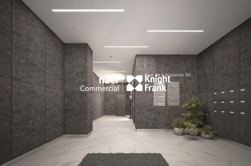 Rue de Lausanne - Bureaux de 640 m² (3)