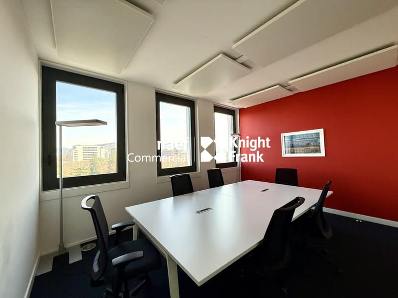 Superbes bureaux aménagés de 400m2  Vue Mont-Blanc  Proche Aéroport (3)