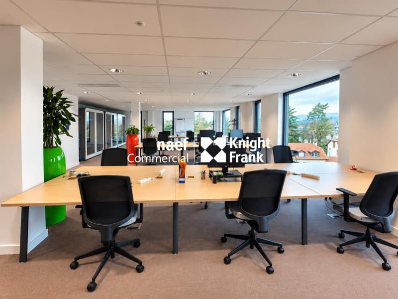 Thônex - Surface d'activité de 303 m² dans un immeuble récent (7)