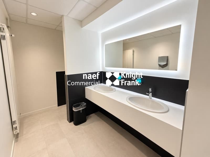 Thônex - Surface d'activité de 303 m² dans un immeuble récent (8)