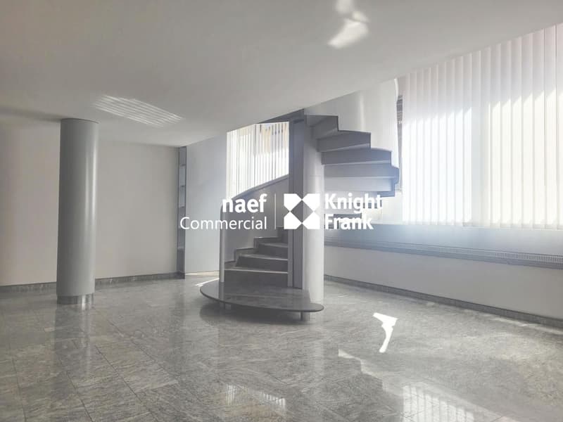 A louer - Bureaux rénovés d'env. 238m2 au coeur des Eaux-Vives (3)