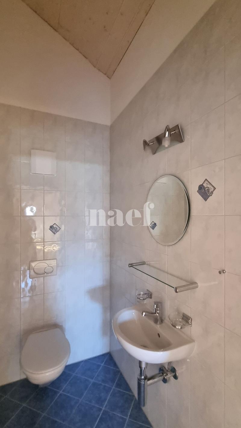 Geräumige 5.5-Zimmer-Wohnung im 3. Stock (11)