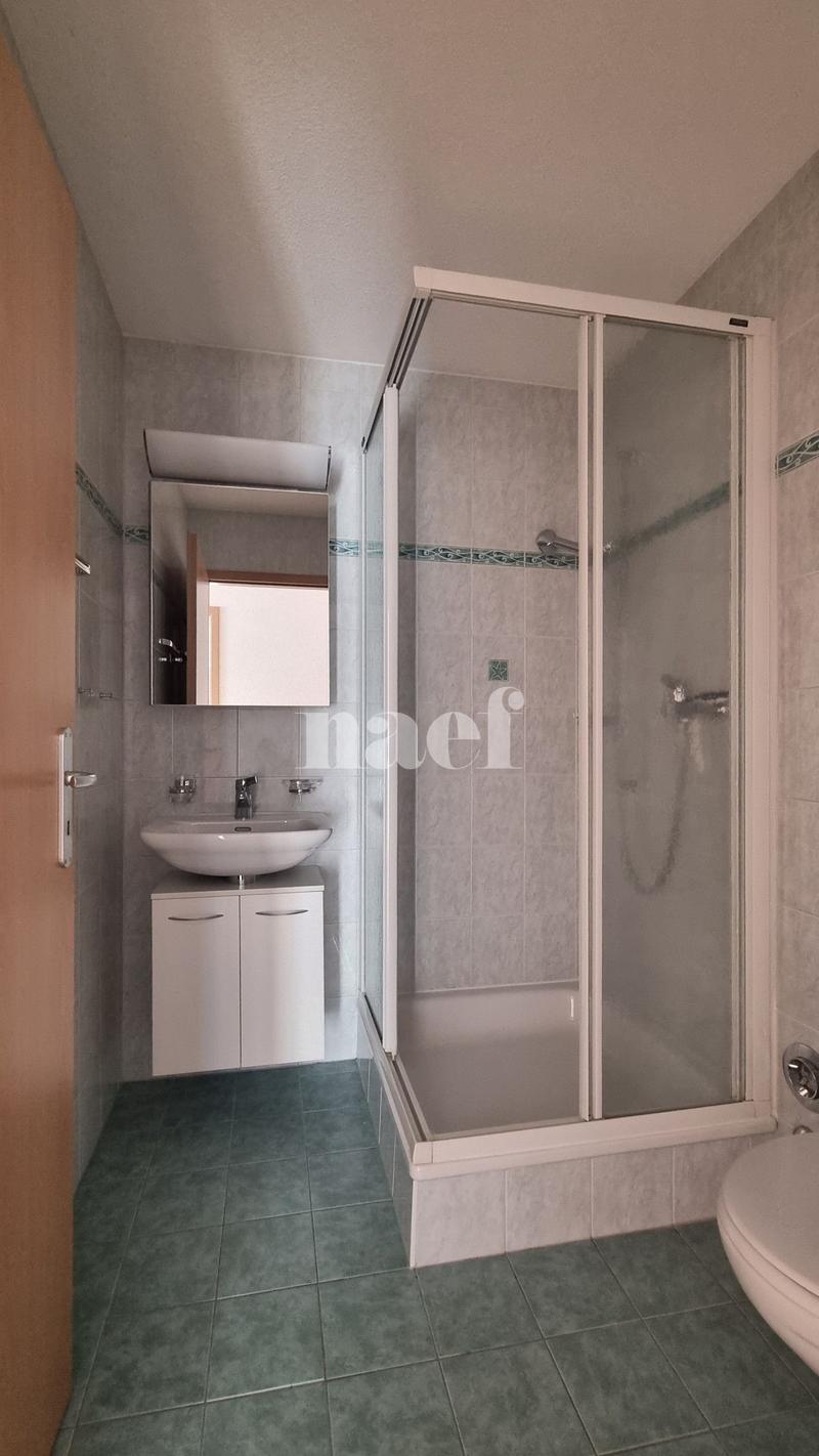Geräumige 5.5-Zimmer-Wohnung im 3. Stock (7)