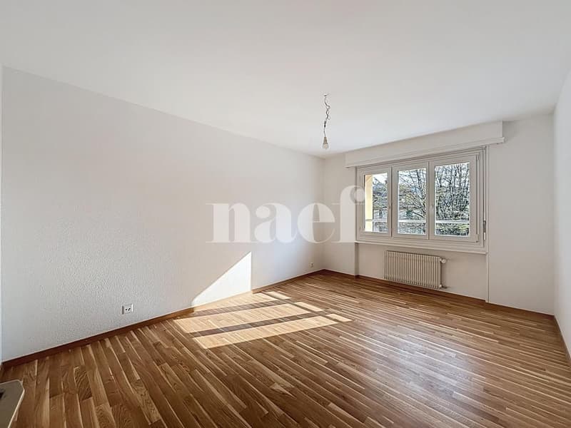 Geräumige renovierte Wohnung (5)