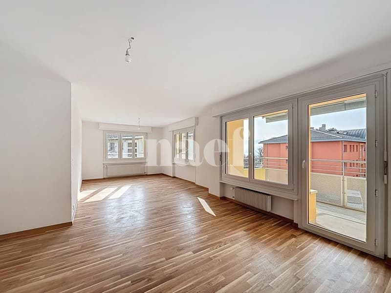 Geräumige renovierte Wohnung (11)