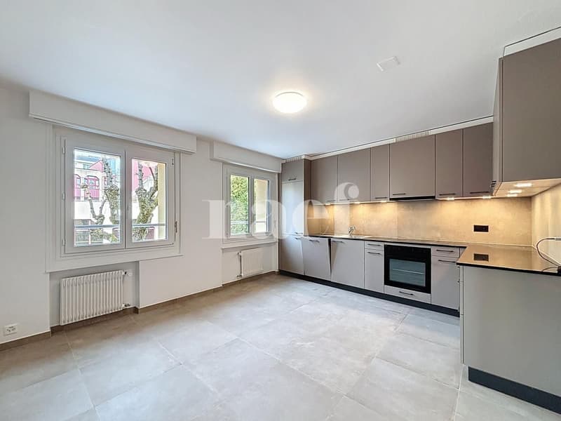 Geräumige renovierte Wohnung (3)