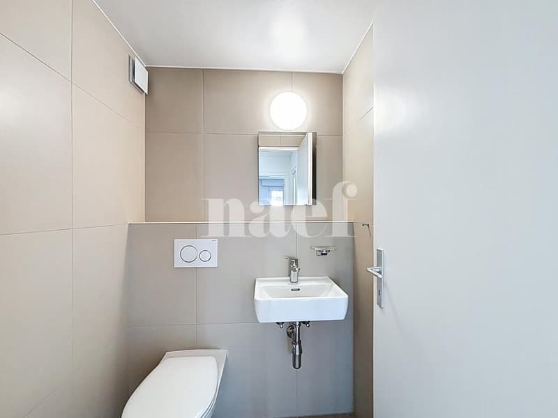 Geräumige renovierte Wohnung (8)