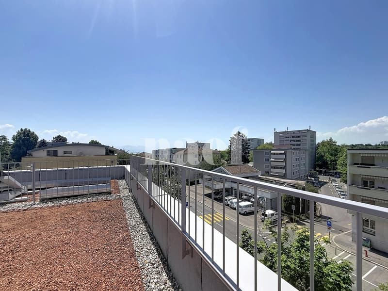 Apartment (5)
