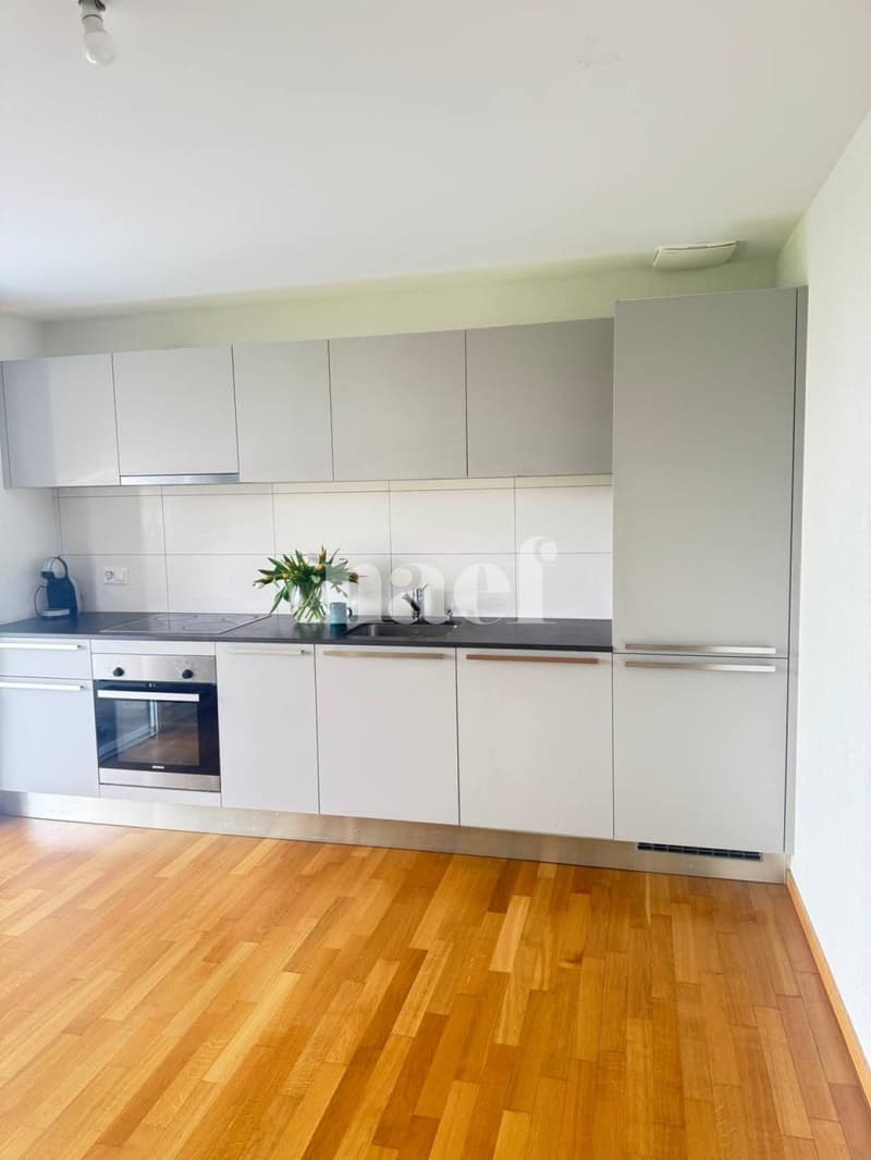 Magnifique appartement moderne (5)