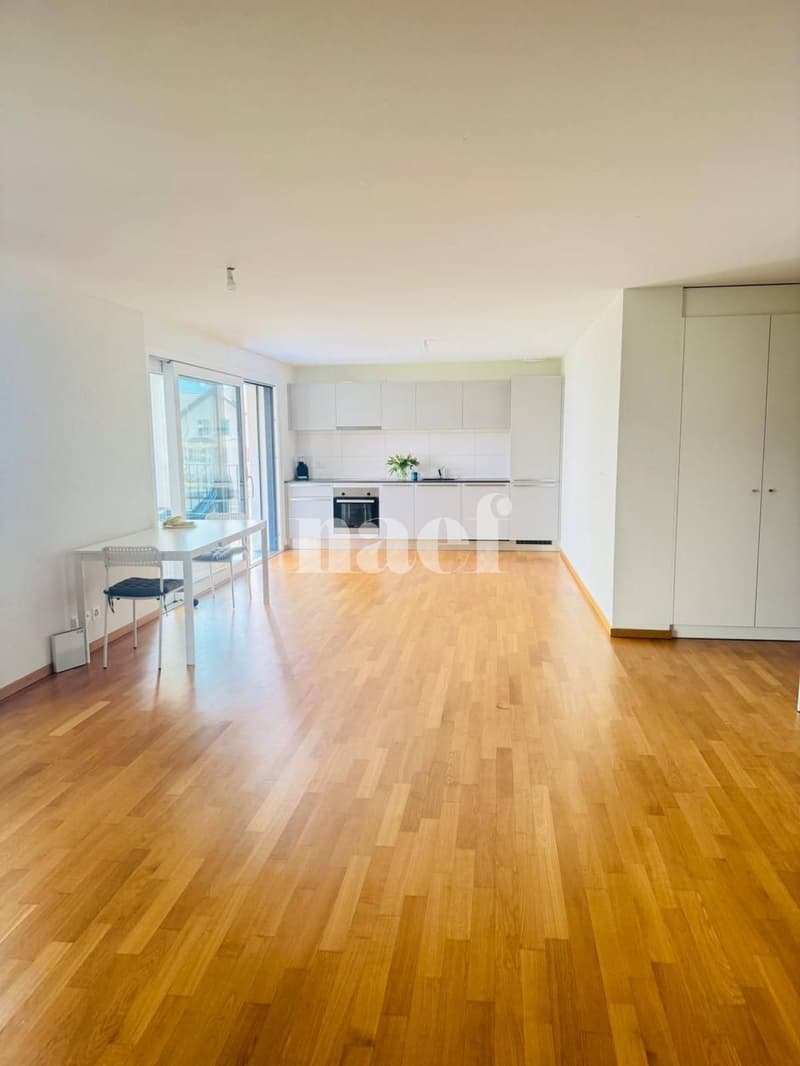 Magnifique appartement moderne (2)