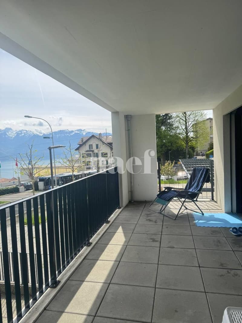 Magnifique appartement moderne (6)