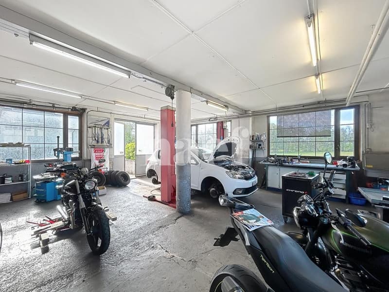 Studio on the ground floor (2)