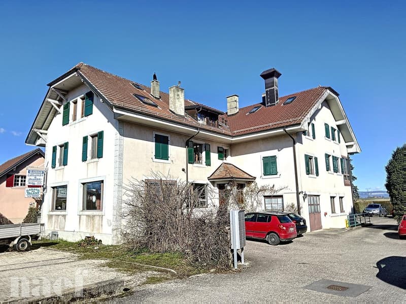 Studio on the ground floor (1)