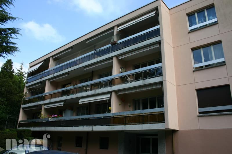 Wohnung mit 2.5 Zimmern komplett renoviert (2)