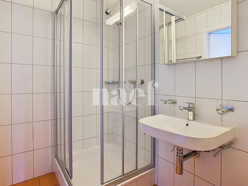 In a residential area, spacious and bright accommodation (8)