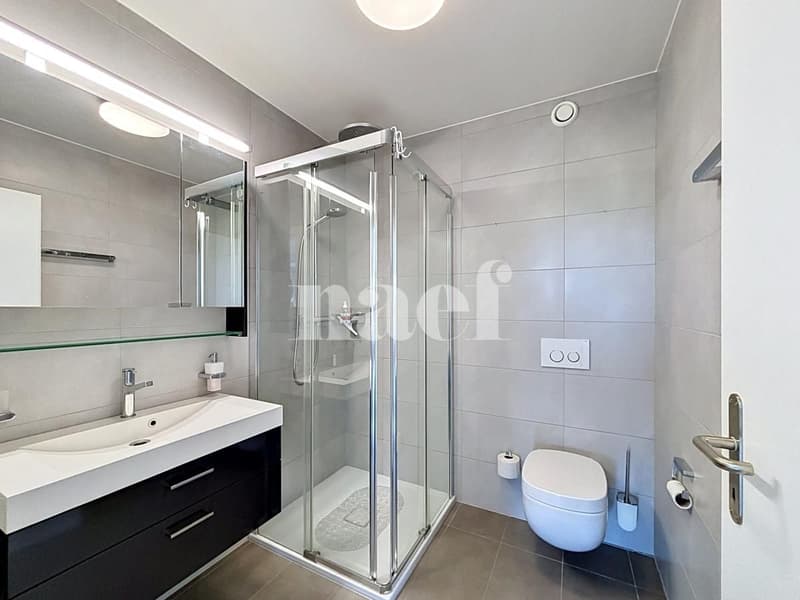 Sublimes Apartment mit Terrasse (11)