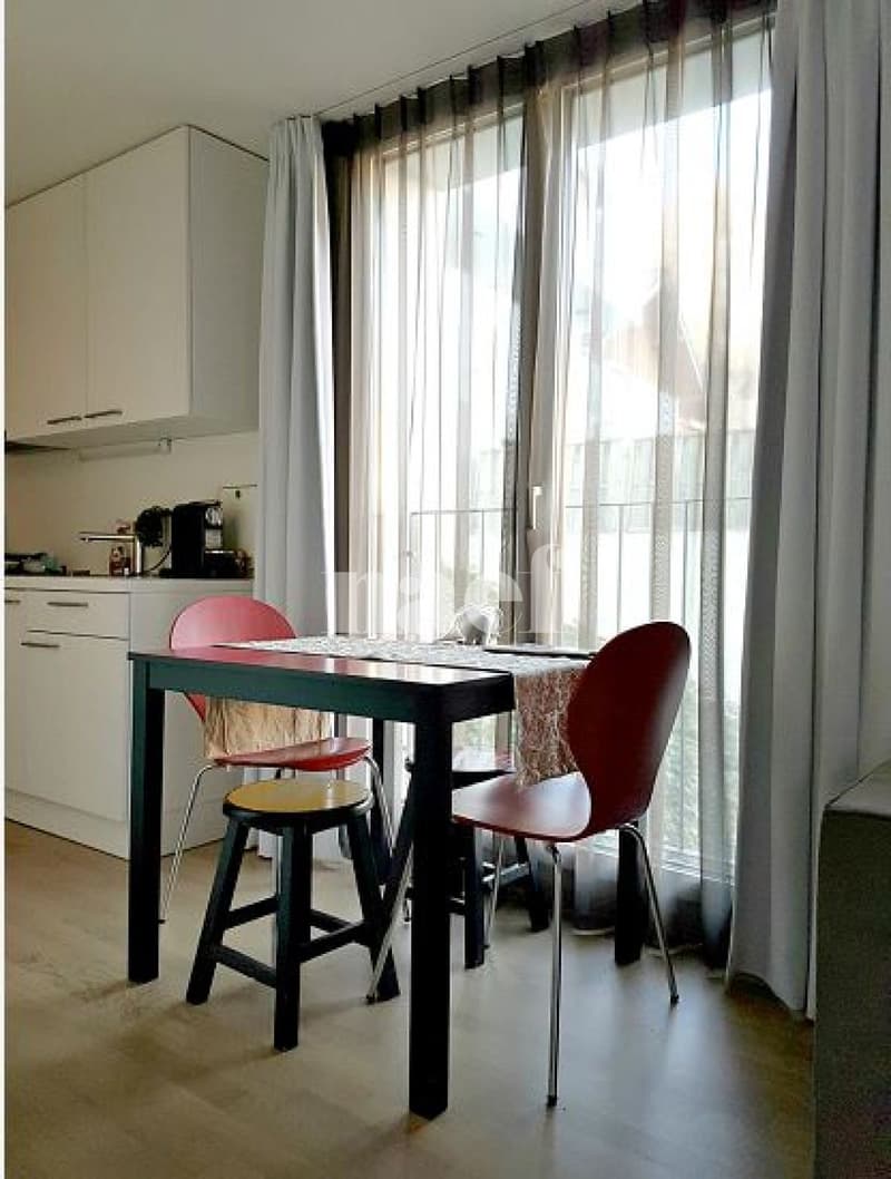 Studio arredato situato in posizione ideale a Losanna (3)