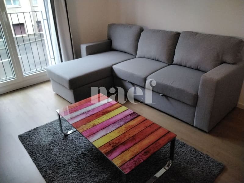 Studio arredato situato in posizione ideale a Losanna (4)