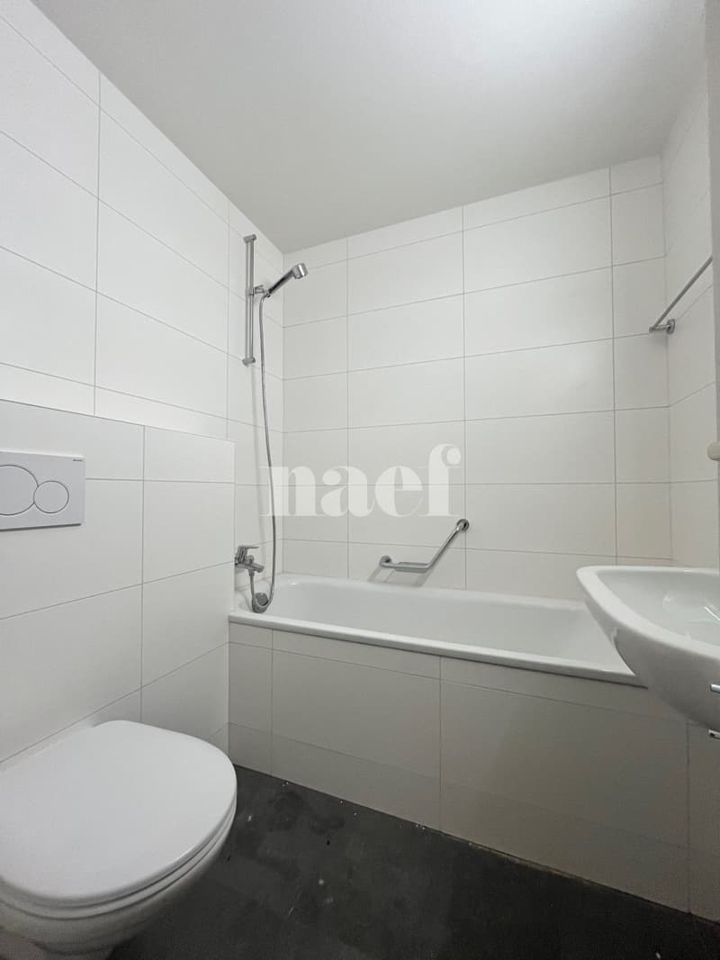 Charmant 2.5 pièces entièrement rénové au plein centre-ville (4)