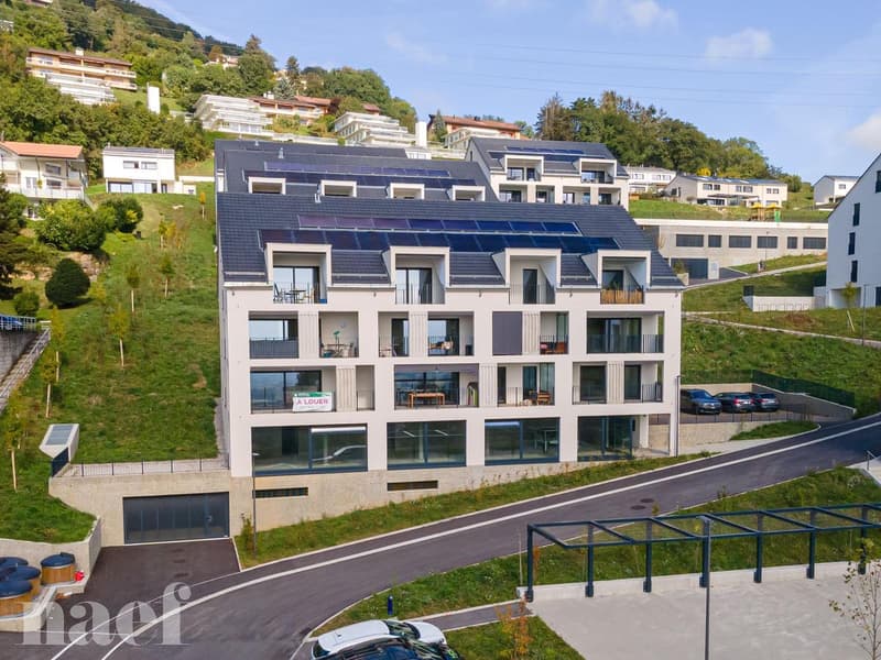 Schönes modernes Apartment mit Seeblick (1)